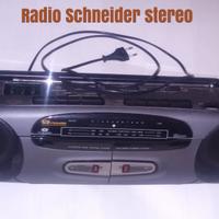 Radio Schneider ed altre vintage