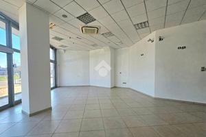 NEGOZIO A SAVIGNANO SUL RUBICONE