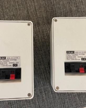 Coppia diffusori acustici TEAC LS-X5