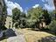 Immagine 26