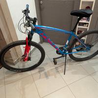 bici Mountain bike