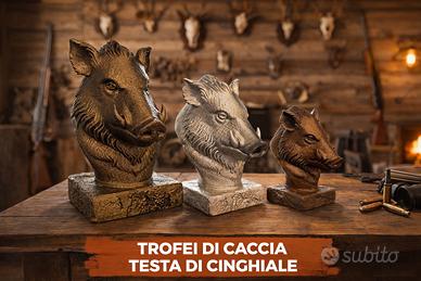 Trofei caccia cinghiale