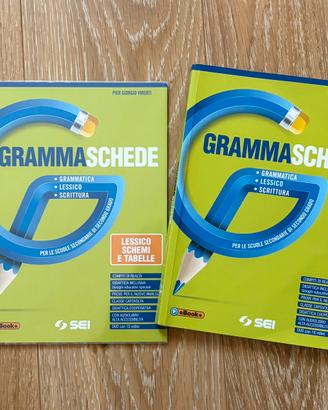 Grammaschede - Pier Giorgio Viberti