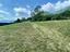 Immagine 14