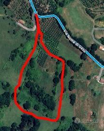 Terreno agricoloVia Nome di Gesù