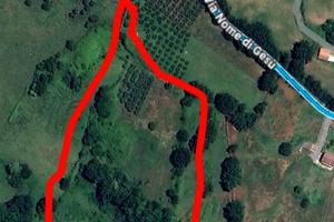 Terreno agricoloVia Nome di Gesù