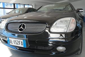 Mercedes-benz SLK 200 Kompressor cat Naked