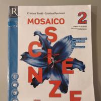 Mosaico scienze 2