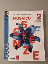 Mosaico scienze 2