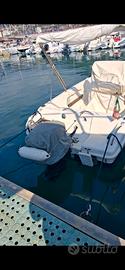 barca con motore yamaha 40/60  4 tempi