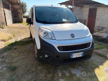 Fiorino