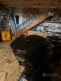 bauletto sh 125 2026