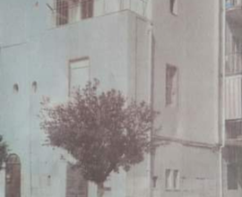 Margherita di savoia