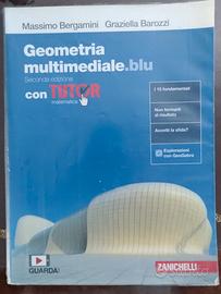 Geometra multimediale blu seconda edizione 