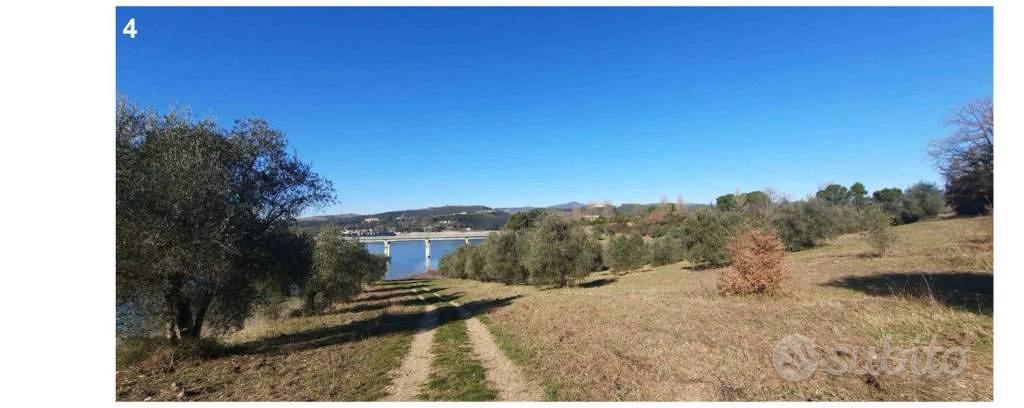 Immobile in asta di 37170 m² a Baschi - Vista 5
