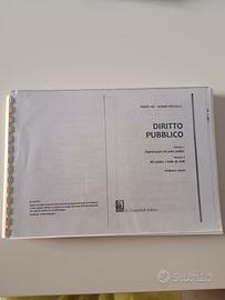 Manuale di diritto pubblico per studenti non giur