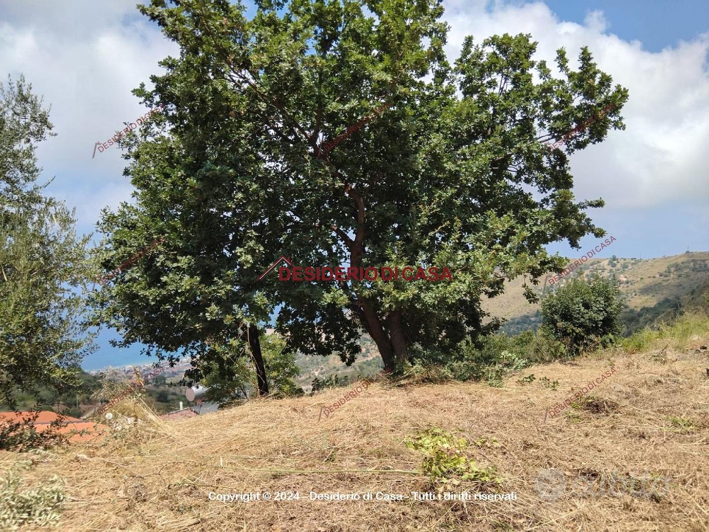 Terreno, Cefalù. - Vista 6