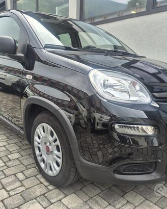 Fiat Panda 1.0 FireFly S&S Hybrid 70CV
