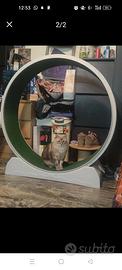 Ruota per gatti 