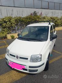 panda fiat