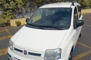 panda fiat