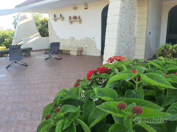 Saelyento vacanza nel salento