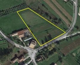 Terreno 1270 metri edificabili + 5300 agricoli