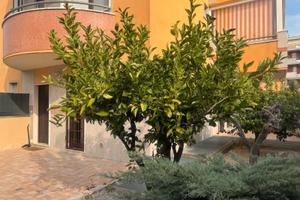 Grazioso bilocale con posto auto