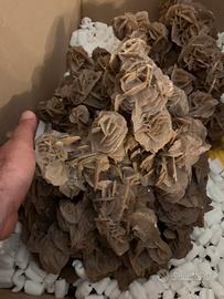 Grande Minerale rosa del deserto 25 kg