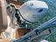 Immagine 7