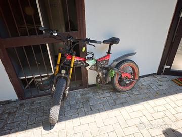 Bici elettrica Lankaleisi X3000 plus