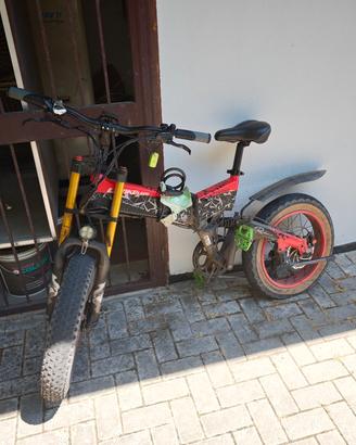 Bici elettrica Lankaleisi X3000 plus