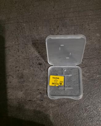 SanDisk 256GB scheda microSDXC per console