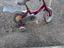 Immagine 3