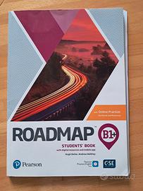 Roadmap b1+