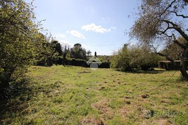 TER. AGRICOLO A MORLUPO