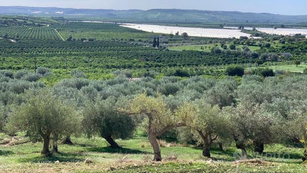 Terreno a Noto (SR)