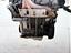 Immagine 12