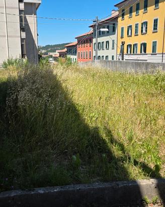 Terra misto pietre