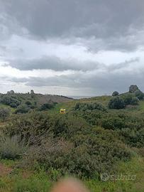 BARONE - Terreno agricolo