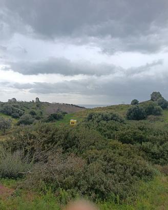 BARONE - Terreno agricolo