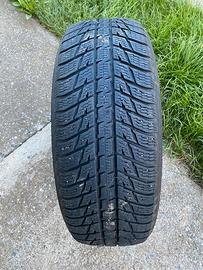 Gomme Nokian