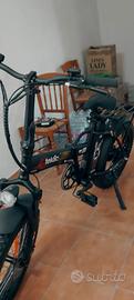 bicicletta teklio 