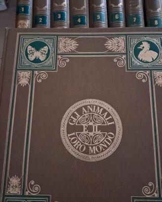 Enciclopedia 