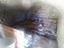Immagine 10
