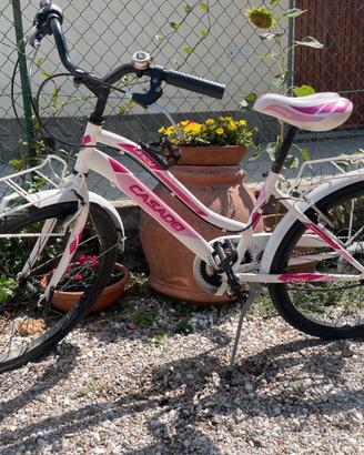 Bicicletta