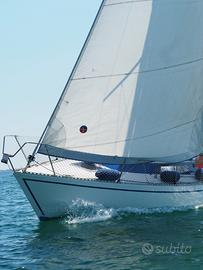 Sciarrelli orion 25