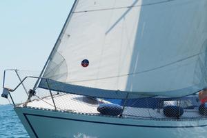Sciarrelli orion 25