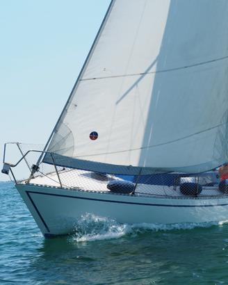 Sciarrelli orion 25