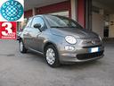 fiat-500-1-0-hybrid-cult